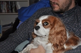 Taylor and Delilah 02